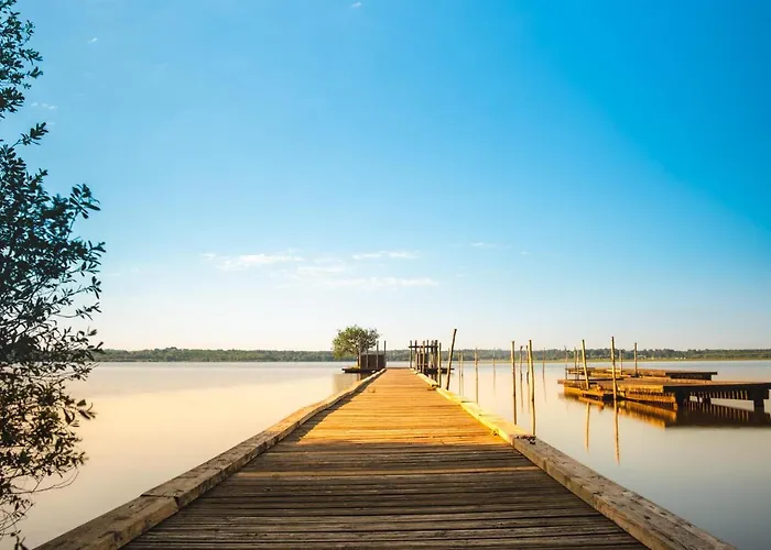 Kamp alanı Azu'rivage